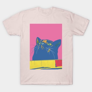 Fat Cat in a Box T-Shirt